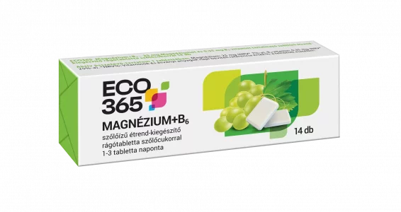 ECO365 Magnézium + B6